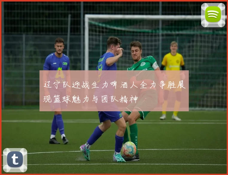 辽宁队迎战生力啤酒人全力争胜展现篮球魅力与团队精神