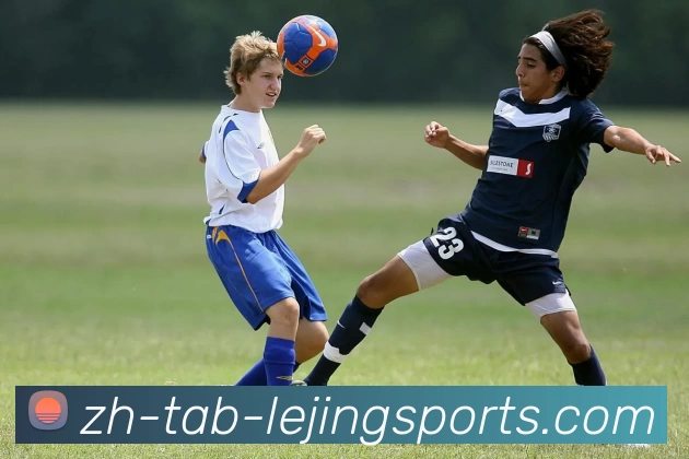 乐竞体育服务体系